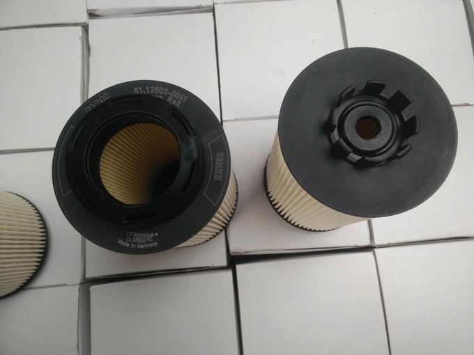 filtro diesel 12503-0061 Lion Diesel Filter 0 do caminhão 1kg de 15*15*28cm