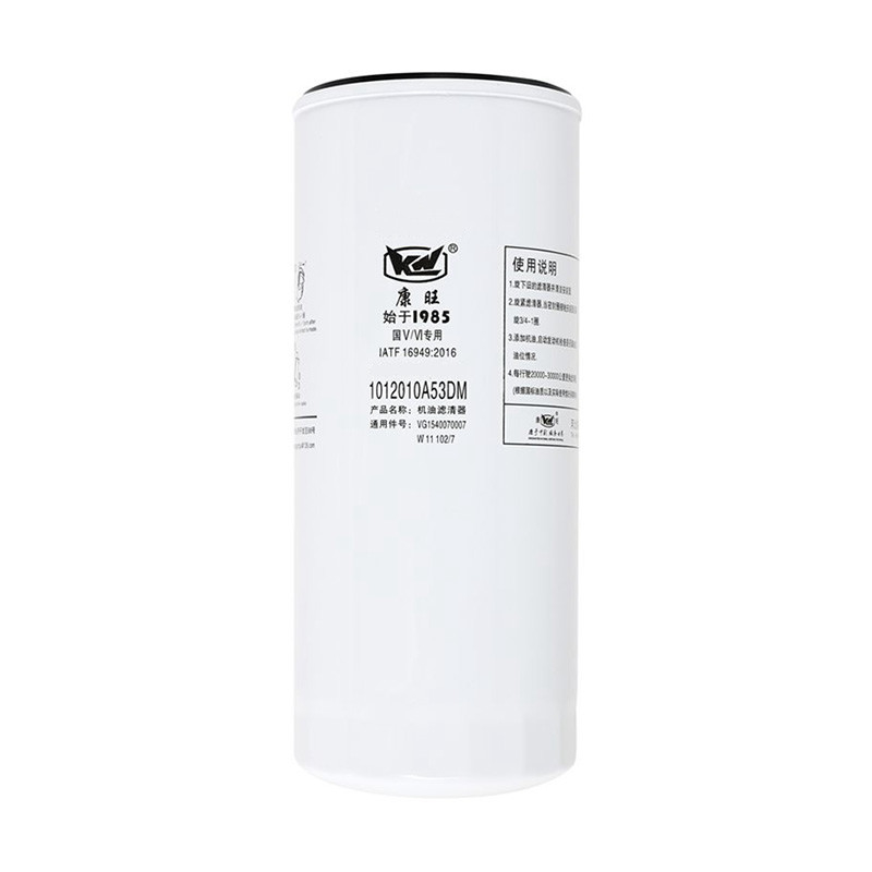 1012010A53DM Origem Cartucho de filtro de combustível para camiões para veículos pesados