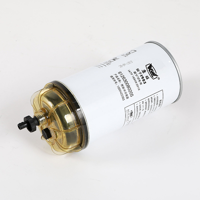 612630080205 Caminhões Filtro de combustível de camião para compatibilidade com partes do motor