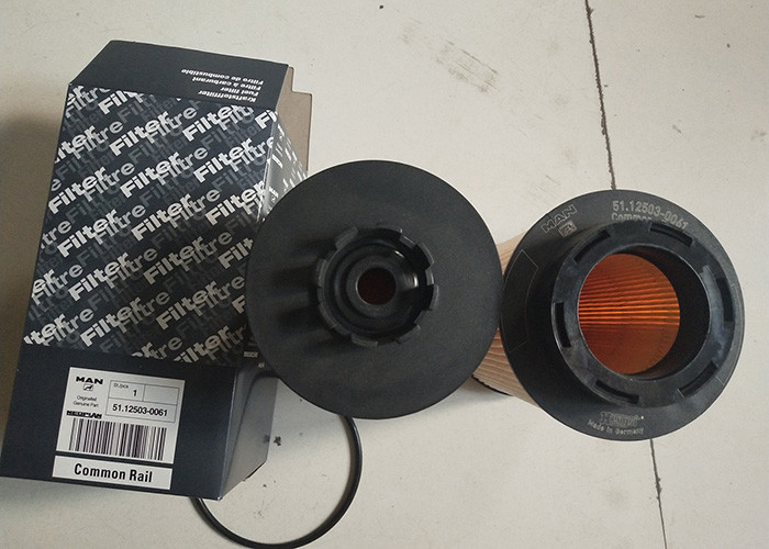 Filtro de combustível inPórial diesel 51.12503-0061 para o caminhão de MANN 18280