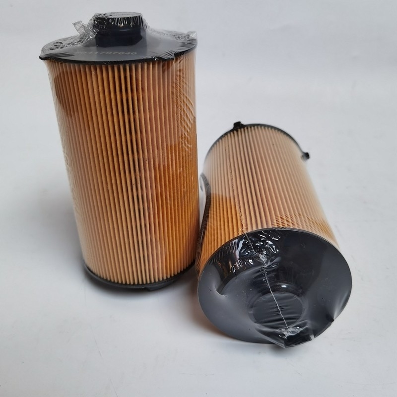 Lubrificando a máquina escavadora Filtro de óleo 5041797640 504272431 para SAIC Iveco